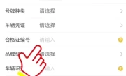 网上选车牌号流程_网上选车牌号技巧大全与实用攻略