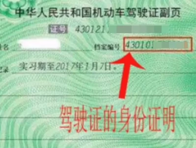 驾照号码查询_一键查证方法