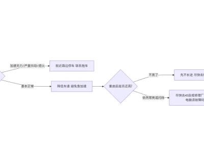 核心摘要：EPC灯亮了≈“发动机或电子节气门系统出问题，别硬撑”