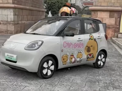 剁椒鱼头电动车怎么选_小几万元的小型mini电动汽车选哪个好