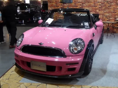 限号罚款不交可以吗_逾期不缴纳罚款的严重后果解析