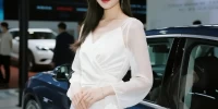 安阳驾驶人网上预约_线上驾照考试预约全攻略