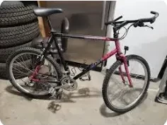 捷安特770价格_性价比之选