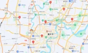 重庆网上车管所_自主选号流程与操作指南