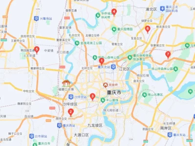 重庆网上车管所_自主选号流程与操作指南