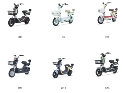 绿驹电动车怎么样_新手购车必看的选购指南