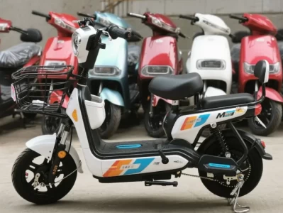 电动车新国标专家揭秘_新国标背后的权威专家是谁