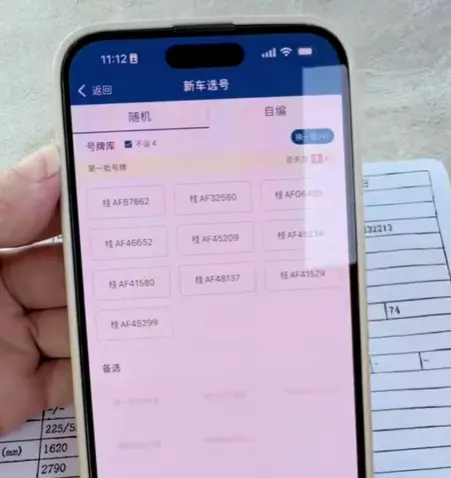 交管12123申请电动车号牌_教你如何快速选到心仪车牌 第1张