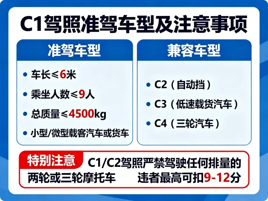 2025权威指南：C1、C2驾照究竟能开什么车？一文看懂准驾车型与避坑指南
